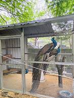 River Forest Leisure Farm