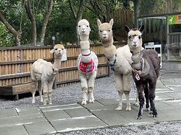 River Forest Leisure Farm