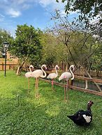 River Forest Leisure Farm