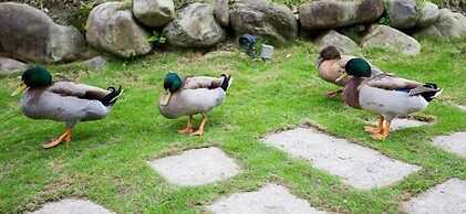 River Forest Leisure Farm