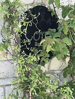 Alacati Cona Otel
