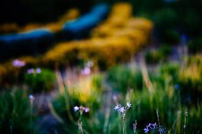 Hagoshrim Hotel & Nature