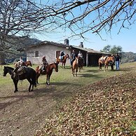Finca Las Margaritas
