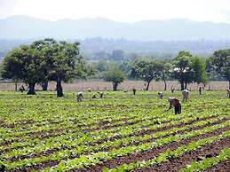 Finca Las Margaritas