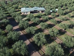 Verde Oliva Casa de Huéspedes