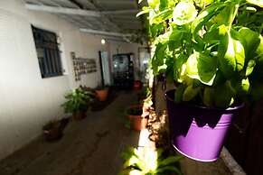 Inn TLV