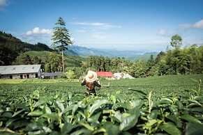Long Yun Farm