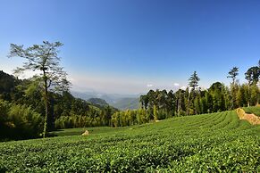 Long Yun Farm