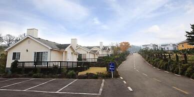 Skyline Pension