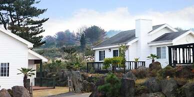 Skyline Pension