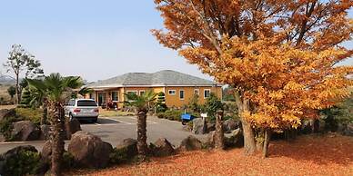 Skyline Pension