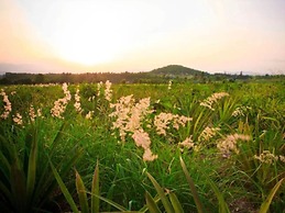 Baanrai Areeya
