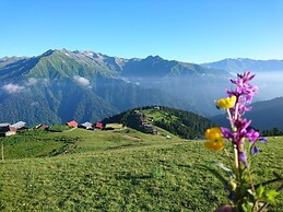 Demircioglu Pokut Dag Evi