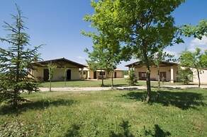 La Collina dei Ciliegi