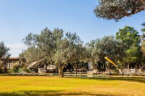 Muses Hammamet