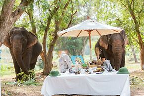 Sappraiwan Elephant Resort & Sanctuary