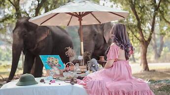 Sappraiwan Elephant Resort & Sanctuary