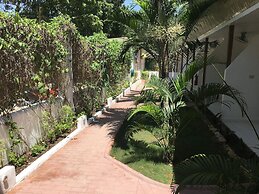 Alona Gecko Inn