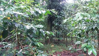 Tanna Eco Venture Bungalow