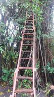 Tanna Eco Venture Bungalow