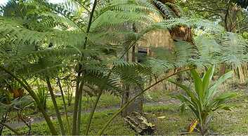Tanna Eco Venture Bungalow