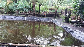 Tanna Eco Venture Bungalow