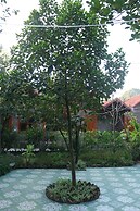 Thanh Dat Homestay
