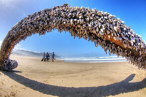 Gulls Way