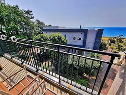 OROJEJU