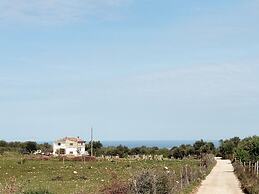 Gio Horses B&B