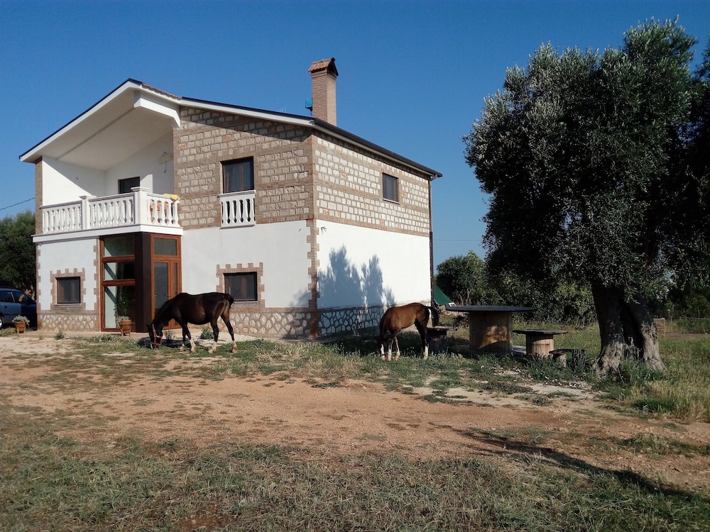 Gio Horses B&B