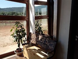 Gio Horses B&B