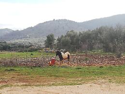 Gio Horses B&B