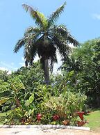 Casa da Buena Vista