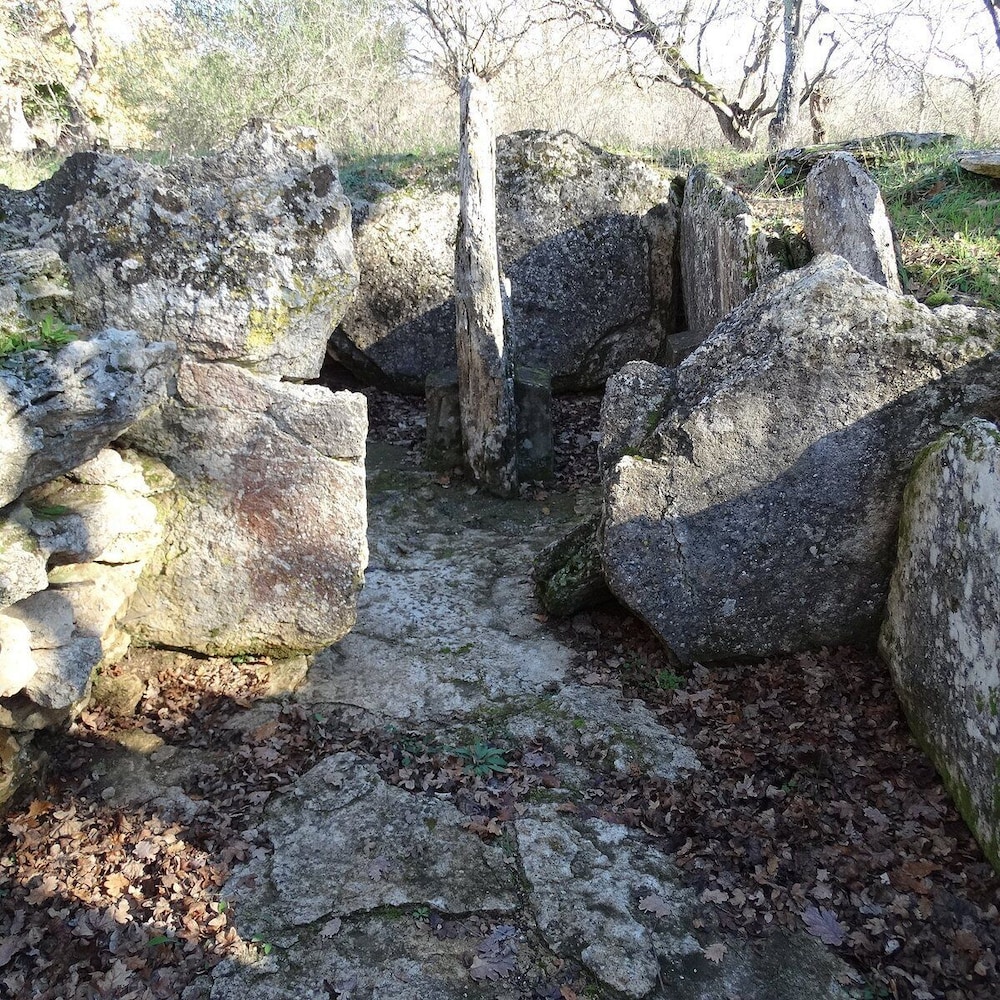 Agriturismo Bio Aia della Colonna