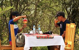 Kasenyi Safari Camp