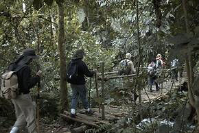 Kasenyi Safari Camp