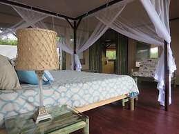 Kasenyi Safari Camp
