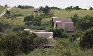 Kasenyi Safari Camp