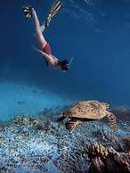 Ithaa Beach Maldives