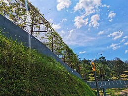Green Peace Sungai Lembing