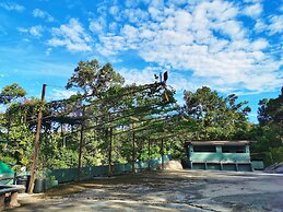 Green Peace Sungai Lembing