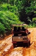 Green Peace Sungai Lembing
