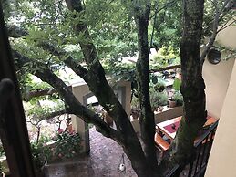 10 Alexander B&B