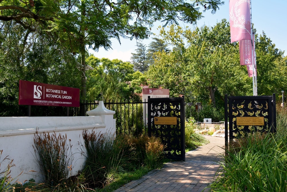 10 Alexander B&B