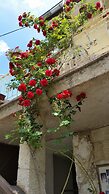 Anatolia Cave Hotel Pansion