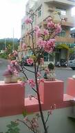 Rose Castle Hostel