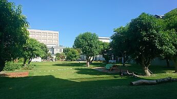 White Pine Village