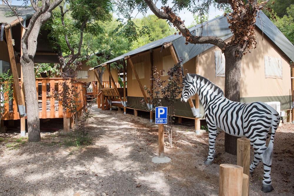 Camping Caledonia