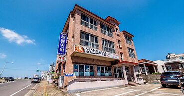 Sea Dragon Pension